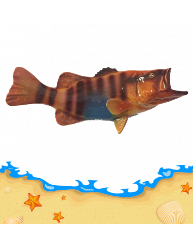 PESCE PRECCHIA