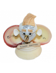 CONCHIGLIA EINSTEIN