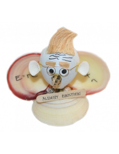 CONCHIGLIA EINSTEIN