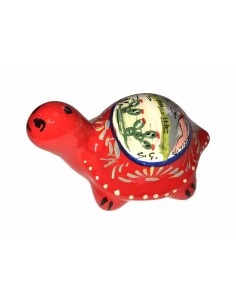 Tartaruga terracotta media